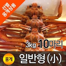 홍게 고급형 3kg 소(10~15 마리)
