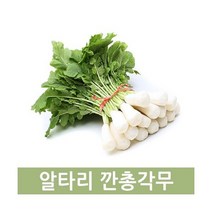 두리반농산 깐총각무(특) 2kg좌우, 1단