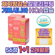 여자뱃살빼는법 체지방감소 다이어트 가르시니아 HCA 다이어트식품 복부지방 팔뚝살빼는법 체중감량 간식 예신 중년 단기 여자뱃살빼는법 뱃살빼기 아랫배 허벅지안쪽살 diet 몸매관리