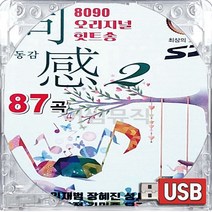 USB 국내앨범 오리지날 8090 대표 히트곡송 동감 2집 김범수 룰라 임창정 성시경 박기영 김광석 플라워 임재범