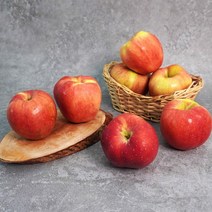 더조은푸드 [더조은] 아리수 사과 가정용 2kg 14-16과, 1