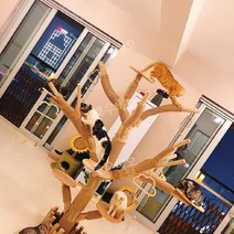 고양이 호텔 집 다묘용 반려묘 대형 나무 실내 빌라 사육장 초대형 원목 고급 공간, E. 2.5m