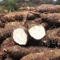 강원도 횡성더덕 300g 약 14뿌리 내외 어사매횡성더덕영농조합, 1개