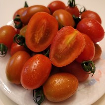 유니네 스테비아 대추방울 토마토, 4.0kg