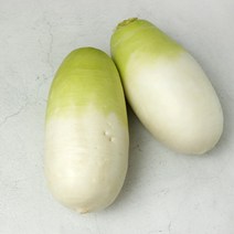 [맛다름] 제주 세척 월동무 1개