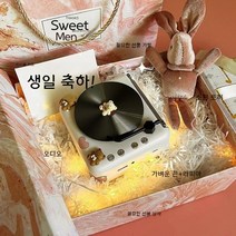 cd플레이어 cdp 블루투스 휴대용 포터블 미니 오디오, 공식 표준, G