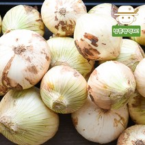 삼촌밥먹자 [무안직송] 황토 무안 햇 양파 (소)1kg3kg5kg10kg, 10kg