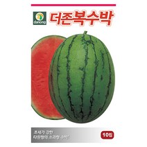 노각 오이 씨앗 50립 - 웰빙오이 늙은오이 오이씨앗 야채씨앗 채소씨앗 채소재배 종묘 종자 베란다 텃밭 씨 씨앗 호박 방울토마토 수박, 19_다농_더존복 수박(10립)