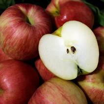 청송 꿀사과 5kg ~ 10kg 11~50과 햇사과 청송 부사 사과 청송 감홍 사과 청송 시나노 골드 사과 청송사과 안동사과 맛있는사과 제수용사과 선물용과일 못난이 사과 흠과, 아리수 사과 5kg 특대과 11~13과 정품