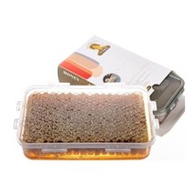 팩벌집꿀 1kg 선물세트(고가구상자포장)