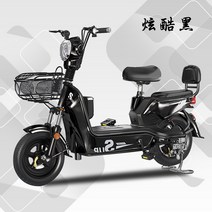 전기자전거 전동자전거 전기 2022 팻바이크 배터리 충전 출퇴근, 48V, 12ah, I 20A 95km