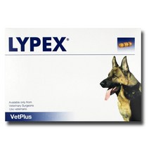 (킹펫) 벳플러스 vetplus 라이펙스 60캡슐
