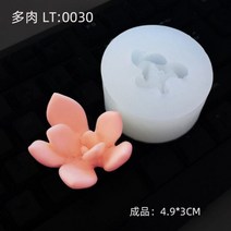 다육 식물 캔들 실리콘 몰드 DIY 선인장 금형 모양 틀 입체 모양틀 케이크 장식 아로마 테라피 석고 접착제 베이킹 도구 양초 만들기 용품, 0030