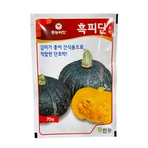 흑피단 호박 씨앗 70립 [23년포장] 맛있는 단호박 종자