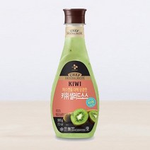 CJ 키위 샐러드소스 585G (보냉백/아이스박스中택1), 옵션1 - 보냉백포장 (보냉백+아이스팩)