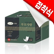 이즈 부모사랑 소변용 요실금 패드 접착식 성인용 기저귀 240매 (30매X8팩), 1박스, 대형, 패드형, 남녀공용