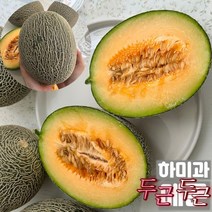 하미과메론 5kg 골드하미과 그린하미과 고령 성산 제철 고당도 당도높은 하미과멜론 산지직송 3~7과 내외, 5kg(3~7수 내외)