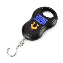 산업용 매달림 톤백 크레인 전자 저울 50kg 10g 블랙 전자 저울 lcd, 없음