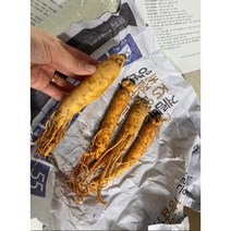 인삼 담금주키트 2.7L 대용량 인삼주 3뿌리 만들기 담그기 1개