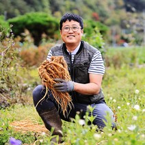 햇 약도라지 강원도 홍천 3년근 이상 재배한 생 도라지 1kg 산지직송, 1box, 약도라지 (대)1kg