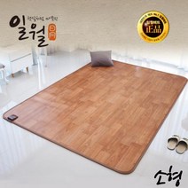 디카운티 일월 전기매트 전기장판 미니 1인용 2인용 대형 특대형 튼튼한 카페트매트 방수 방오 온열매트 발열매트 전자파 걱정 없는 EMF 인증 거실 사계절 구들장 온도조절기 온돌매트, 소형