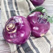 빛고을장터 국내산 제주 콜라비 15kg 10kg 5kg 3kg 적콜라비 순무, 1Box, 콜라비 15kg내외