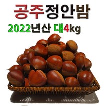 공주밤 대4kg 정안알밤 공주밤 정안밤 햇밤 알밤 밤 생율 국내산 옥광 대보 삼조생, 4kg