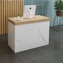 남쪽나무 인포메이션 안내데스크 카운터 로비, 길이 160cm 폭 60cm 높이 100cm, A04