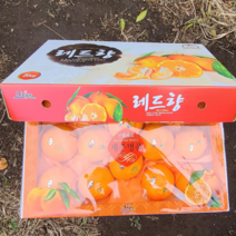 당일채과 레드향 중과 3kg 당도 선별 선물용 가정용, 가정용 3kg중과(9~12과)