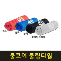 쿨코어 냉감 아이스 습식 스포츠 쿨타월 쿨링타월 타올수건 65x20, 블루, 본상품선택