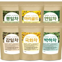 국화차 박하차 연잎차 감잎차 장미차 마리골드 구아바차 효능 먹는법 국화꽃차, 3_구아바차200g