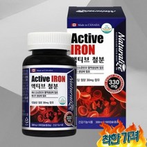 임산부영양제 초기 준비영양제 철분영양제 임산부철분제 철분 식품