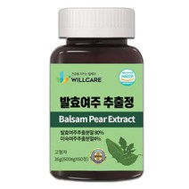 윌케어 발효여주 추출정 국내산 600mg x 60정, 1병