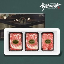 국내산 소고기 선물 세트 육우 고기 구이용 냉장 구정 설 명절, 1. 진품4호 (1+1특가)