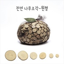 천연나무조각 원형 5.5cm 1kg/ 모음 만들기 DIY 공예 재료