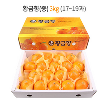 제주 황금향 선물세트 3kg (중과) 17-19과 / 하우스 노지 고당도 귤 감귤 밀감 레드향 천혜향 카라향 청귤 수라향 신비향 가정용 추석 명절 설 감사 은사 선물 조생 타이벡, 5kg (특대) 19-23과