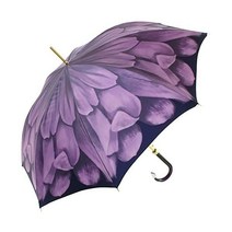by Pasotti 파소티 우산 Dahlia 싱글 캐노피 럭셔리 자동우산