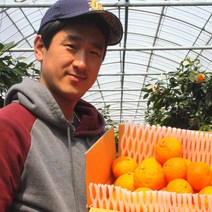 [프리미엄 고당도] 산지직송 제주 카라향, 추천/특가/혼합과 5kg, 1개
