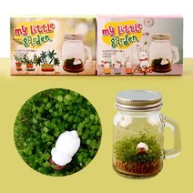 테라리움 만들기 키트 재료 관찰키트 재료 DIY 초등 어린이 집곡 기르기 놀이
