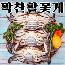 어부언니 서해안 제철 생물 활 알배기 암 꽃게 2kg 1kg 당일발송, 활숫게1kg(3~4미)