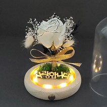 더라임코리아 문구 각인 LED 먼로 장미 무드등 DIY 만들기 키트, 선택완료