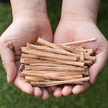 미얀마 해죽순 니파팜 해죽순차 차용 줄기 300g 600g 대용량, 해죽순 600g
