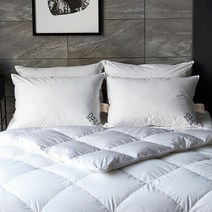 [소프라움] 바르샤바 폴란드90 구스베개솜 1060g 50x70, 화이트/(MOS20AS29P11WH50x70)