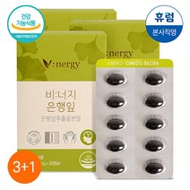비너지 은행잎 추출물 기억력 혈액순환 개선 500mg x 30캡슐 3+1BOX, 단품, 단품