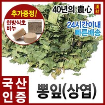 자애인 국산 뽕잎 600g 상엽 뽕나무잎 뽕잎차 충북제천, 단품