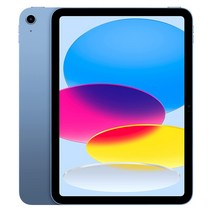 애플 아이패드 10세대 27.5cm WiFi 64GB _ 256GB (관부가세포함_미국정품), 10세대 64GB-블루
