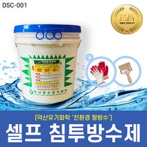[DS_Chemical] 친환경 셀프 침투 방수제 - 왕방수 (1L 4L 10L 18L), 왕방수-10L