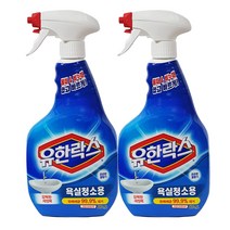 유한양행 유한락스 욕실용 살균세정제, 600ml, 2개입
