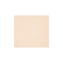 [NEW] 페리페라 무드 비건 글로우 쿠션 단독기획 (본품+리필+ 퍼프 2ea ), 02 아이보리