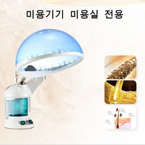 헤어스팀기 가정용 머리 얼굴 스팀기, 화이트